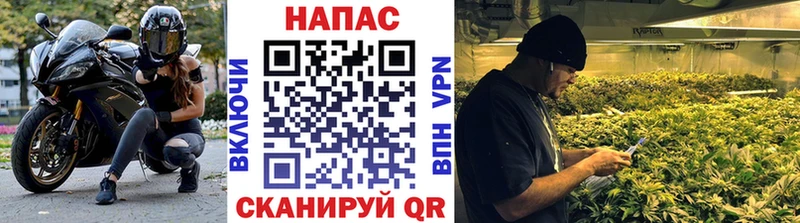 Где можно купить наркотики Сосновоборск Гашиш  COCAIN  Меф мяу мяу  Alpha PVP  Канабис 