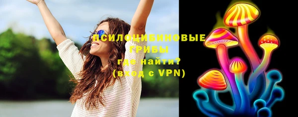 спиды Алексеевка