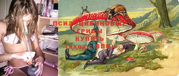 кокс Алзамай