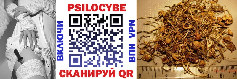купить  цена  KRAKEN ссылка  Псилоцибиновые грибы GOLDEN TEACHER  Сосновоборск 